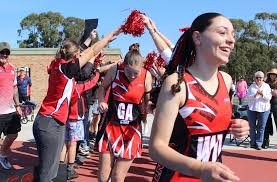 Image result for Novos Netball Club