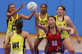 Image result for Sports Centre Netball