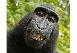 Kết quả hình ảnh cho hinh anh