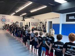 Image result for Bully Me Now Mixed Martial Arts