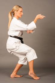 Image result for Kyomeikai Karate Club