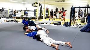 Image result for Revolution Dojo