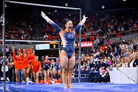 Image result for Valiant Gymnastics Club