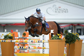 Image result for szasz