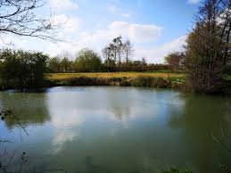 Image result for Fylde Boat Angling Club