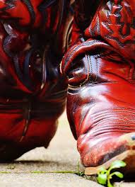 Image result for Eazystompers Line Dance Club