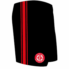 Image result for Tir Na Nog Gac