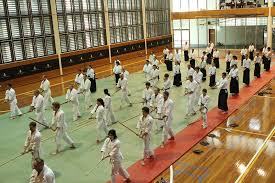 Image result for Newcastle Aikido Club