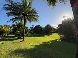 Image result for Bramston Sac