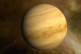 Image result for venus