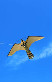 Image result for Poole Kite Fliers