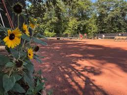 Image result for Prestwick Symington & Ayr Fort Community Tennis Club