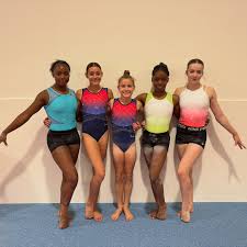 Image result for Carousel School Of Gymnastics