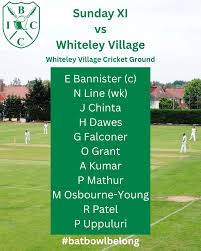 Image result for Whiteley Village Cricket Club