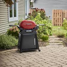 Image result for weber q200