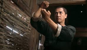 Image result for Hidden Dragon Karate-Do
