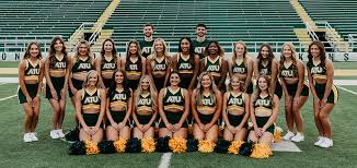 Image result for RT Twilights Cheerleading
