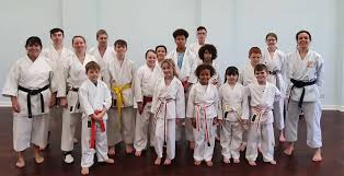 Image result for TIVERTON SHOTOKAN KARATE CLUB