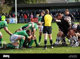 Image result for Wharfedale Rugby Union Football Club