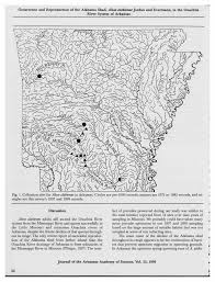 Image result for Alosa alabamae