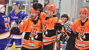 Image result for Telford Tigers
