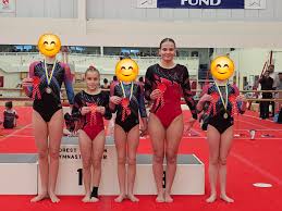 Image result for Fromeside Gymnastics Club (1987) Limited