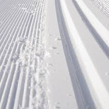 Image result for Lakeland Cross Country Ski Club