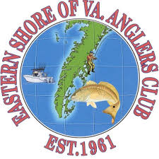 Image result for Seabrook Sea Anglers Association