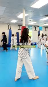Image result for Mirfield Martial Arts Club