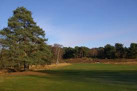 Image result for Reigate Heath Golf Club