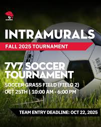 Image result for York University Dodgeball Club