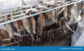 Image result for Rutilus heckelii