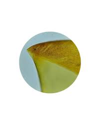 Attēlu rezultāti vaicājumam “Calliergon trifarium”