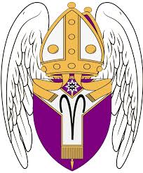 Image result for pontifex