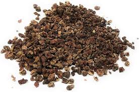 Attēlu rezultāti vaicājumam “Potentilla erecta fruit”