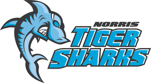 Image result for Selby Tiger Sharks Swimming Club