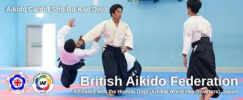Image result for Sho Shin Kan Aikido Club