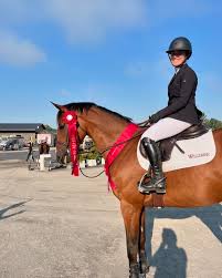 Image result for Annandale Equestrian Centre