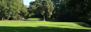 Image result for Puttenham Golf Club