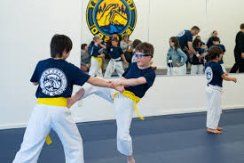 Image result for Sokudo Martial Arts Club
