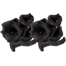 Attēlu rezultāti vaicājumam “Cratarellus cornucopioides”