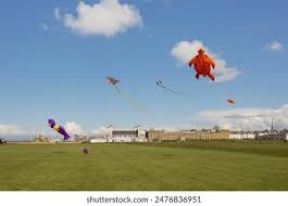 Image result for Kite Club of Scotland
