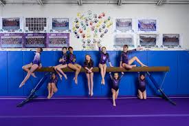 Image result for Mk Springers Gymnastics Club