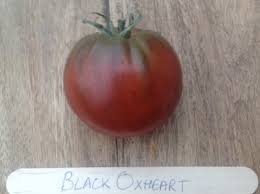 Afbeeldingsresultaat voor black oxheart tomato