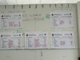 Image result for Appledore Pilot Gig Club