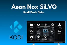 Image result for xbmc aeon