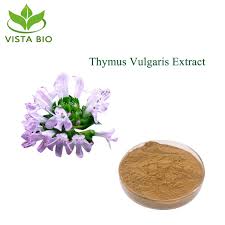 Attēlu rezultāti vaicājumam “Thymus vulgaris leaf”