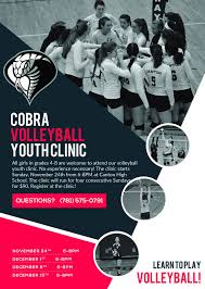 Image result for Chesterfield Cobras Volleyball Club