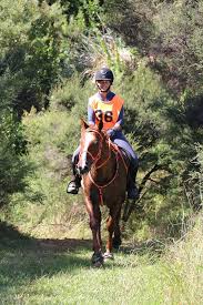 Image result for Woodhill Riding Club