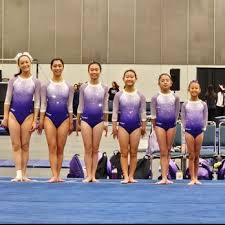 Image result for Buckingham Gymnastics Club